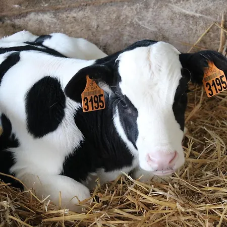 Le Thuit - F2 Plain Pied équipé à La Ferme Séjour à la ferme *
