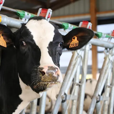 Le Thuit - F2 Plain Pied équipé à La Ferme Séjour à la ferme Charleval (Eure)
