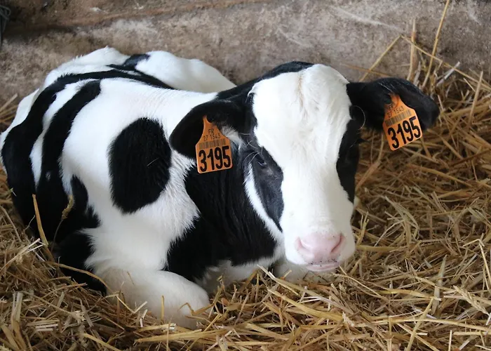 Le Thuit - F2 Plain Pied équipé à La Ferme Séjour à la ferme *