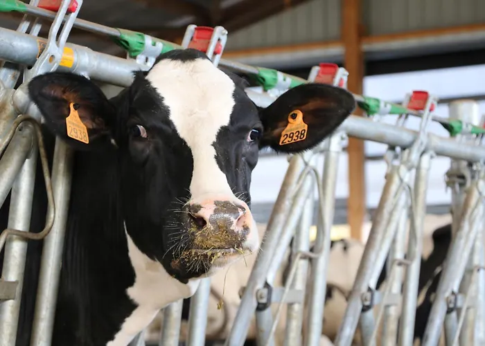 Le Thuit - F2 Plain Pied équipé à La Ferme Séjour à la ferme Charleval (Eure)